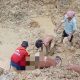 Warga mengevakuasi korban longsor di lokasi Pertambangan Emas Tanpa Izin Nasalane, Desa Lobu, Kecamatan Moutong, Parigi Moutong