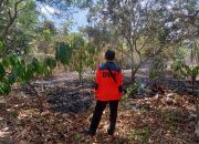 Karhutla di Baliara Parigi Barat, Satu Hektar Kebun Warga Ludes Terbakar