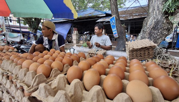 Mendagri Minta Daerah Cepat Intervensi Harga Pangan