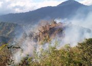 Karhutla di Desa Ambason Mekar Tinombo, Api Mendekat ke Permukiman