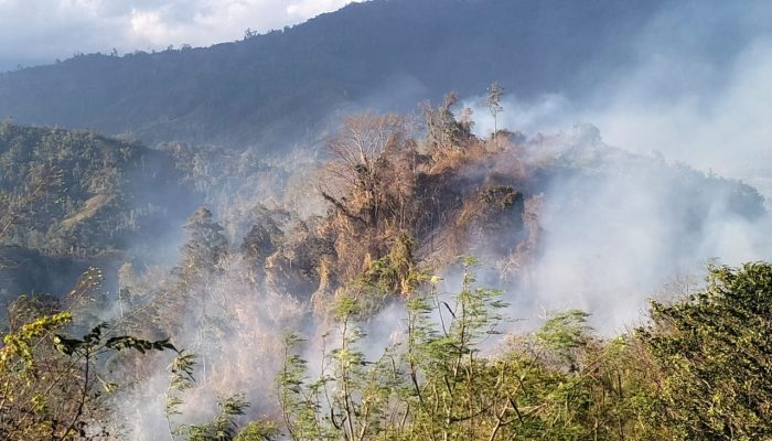 Bupati Imbau Warga Waspadai Karhutla dan Kekeringan