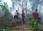 Musim Kering, Pemda Parigi Moutong Perketat Larangan Pembakaran Lahan