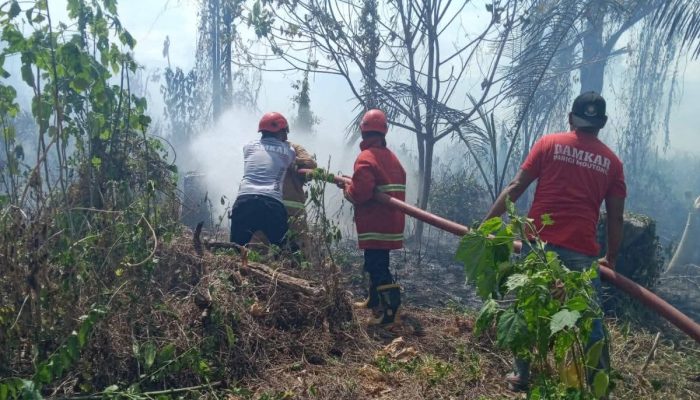 Musim Kering, Pemda Parigi Moutong Perketat Larangan Pembakaran Lahan