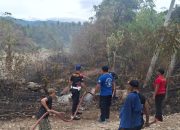 Karhutla Kembali Mengancam, Api Dekat Rumah Warga di Desa Binangga Parigi Moutong