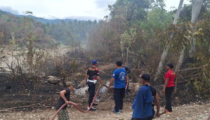 Karhutla Kembali Mengancam, Api Dekat Rumah Warga di Desa Binangga Parigi Moutong
