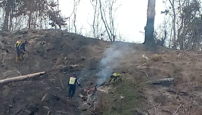 Tagana Parigi Moutong Menyisir Perbukitan Avolua–Uevolo, Padamkan Ratusan Titik Api Karhutla