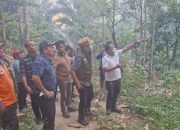 Bupati Parigi Moutong Tinjau Langsung Karhutla di Desa Avolua, Pemadaman Terus Diperkuat