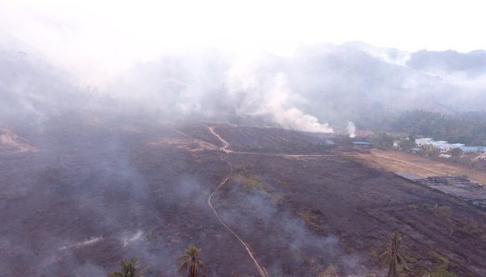 BMKG Peringatkan Potensi Karhutla di Wilayah Parigi Moutong