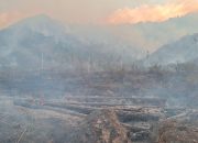 El Nino Ekstrem Mengintai, Risiko Karhutla di Indonesia Meningkat
