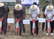 Gerakan Tanam Jagung di Parigi Moutong Dukung Program Jaksa Mandiri Pangan