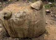 Penemuan Megalit di Kawasan Tambang Emas Ilegal Dongi-Dongi Sulteng, Diduga Berusia 1.000 Tahun