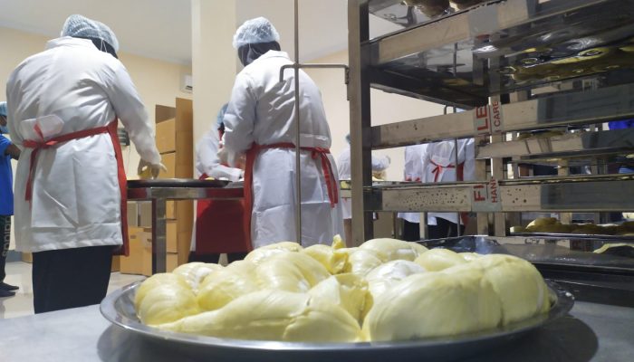 Panja DPRD Temukan Masalah Izin, Packing House Durian Direkomendasikan Berhenti Sementara