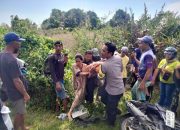 Avanza Tabrak Nmax di Kasimbar Parigi Moutong, Pengendara Motor Tewas