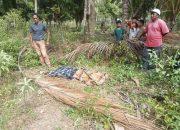 Remaja Ditemukan Tak Bernyawa di Kebun Kelapa Desa Avolua Parigi Moutong