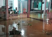 Banjir Rendam 7 Desa di Moutong dan Taopa, Infrastruktur Ikut Terdampak
