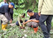 Pemkab Parigi Moutong Fokus Penghijauan, Wabup Pimpin Langsung Aksi Tanam Pohon