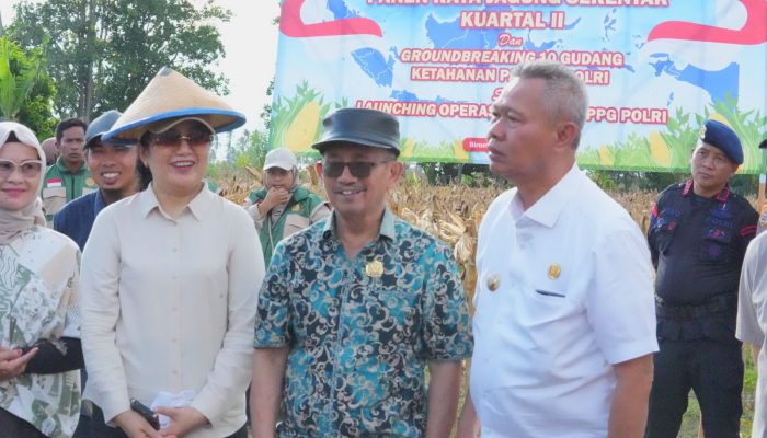 DPRD Sulteng Dukung Panen Raya Jagung Serentak Perkuat Ketahanan Pangan