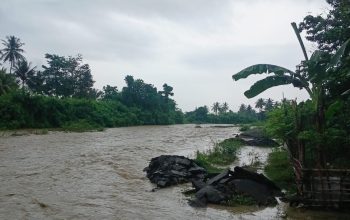 Banjir Rendam Lahan Pertanian di Toribulu dan Sienjo, BPBD Lakukan Pendataan