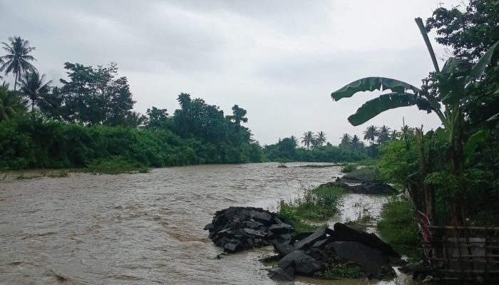 Banjir Rendam Lahan Pertanian di Toribulu dan Sienjo, BPBD Lakukan Pendataan