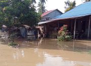 Banjir Parigi Moutong Rendam 12 Desa, Ratusan KK Terdampak