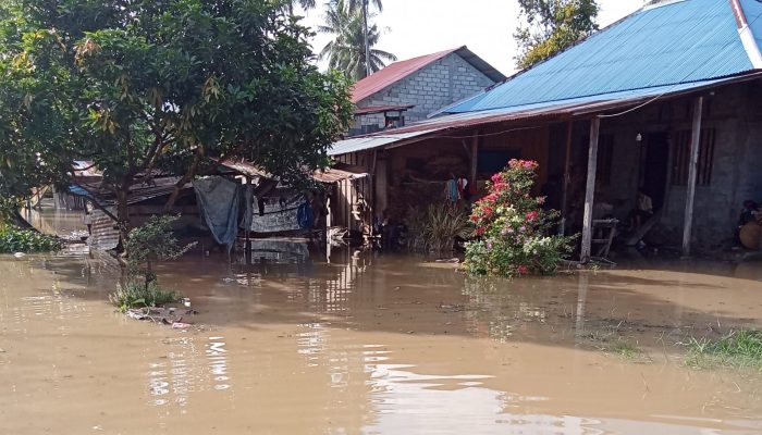 Banjir Parigi Moutong Rendam 12 Desa, Ratusan KK Terdampak