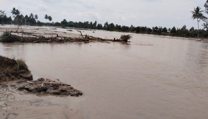 Ratusan Hektare Lahan Pertanian di Parigi Moutong Terendam Banjir