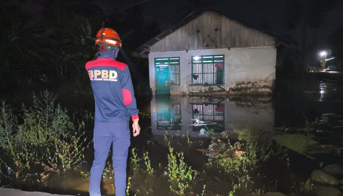 Banjir Torue Surut, 10 KK Terdampak dan 20 Hektare Sawah Terendam