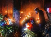 Tiga Titik Api Karhutla di Banggai Berhasil Dipadamkan Tim Gabungan