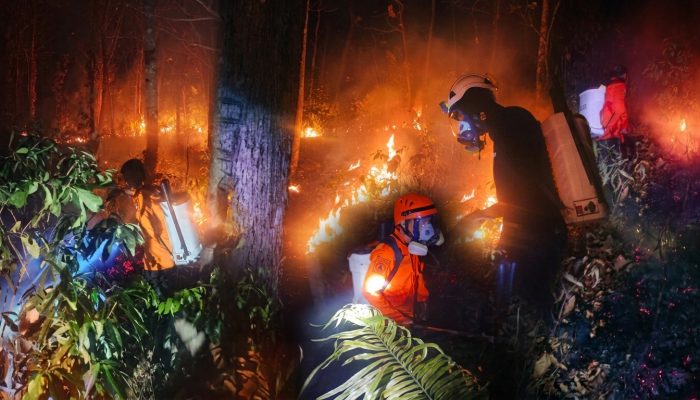Tiga Titik Api Karhutla di Banggai Berhasil Dipadamkan Tim Gabungan