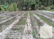 Kekeringan Ancam 235 Hektare Lahan di Parigi Moutong