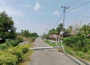 11 Tiang Listrik Tumbang, Jalan Kasimbar Lumpuh