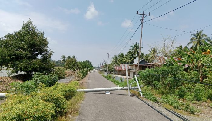 11 Tiang Listrik Tumbang, Jalan Kasimbar Lumpuh