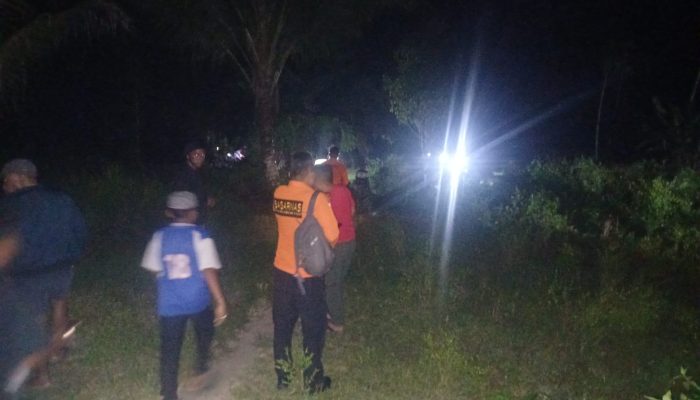 Lansia Pikun Hilang di Kebun, Tim SAR Lakukan Pencarian