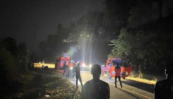 Karhutla di Basidondo Tolitoli Bakar 3 Hektare Lahan