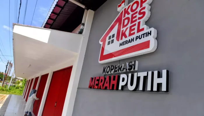 Manajer Kopdes Merah Putih Digaji hingga Rp8,3 Juta