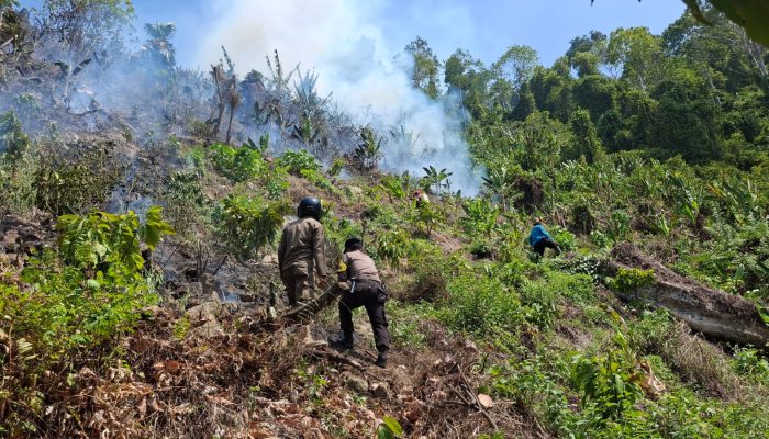 Polisi dan Warga Padamkan Kebakaran Lahan Cokelat di Sausu