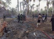 Kebun Kelapa di Lambunu Utara Parigi Moutong Terbakar