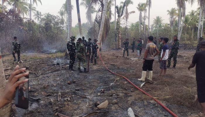 Kebun Kelapa di Lambunu Utara Parigi Moutong Terbakar