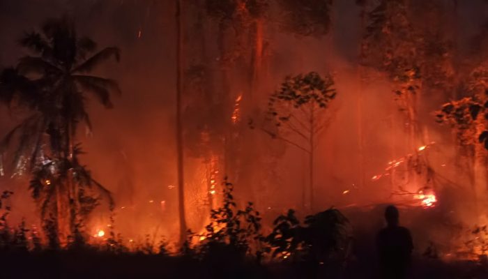 Karhutla Hanguskan Dua Hektare Lahan di Bolano