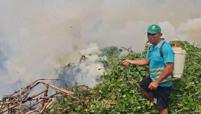 Karhutla di Mepanga Hanguskan Satu Hektare Lahan