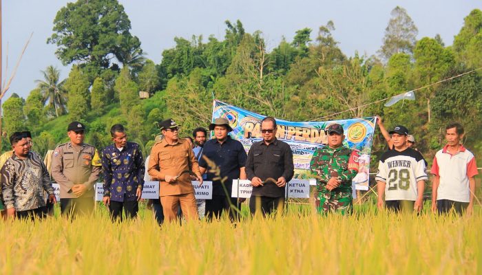 Panen Perdana Cetak Sawah Perkuat Pangan Parigi Moutong