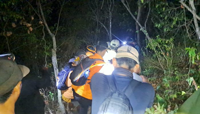 Hilang Saat Cari Kayu Bakar, Lansia di Sigi Ditemukan Selamat