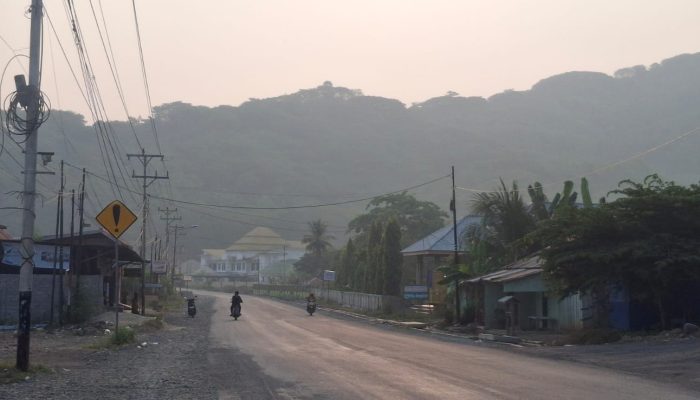 Terdeteksi Terdampak Asap Karhutla, Warga Sulawesi Tengah Diimbau Waspada Kualitas Udara
