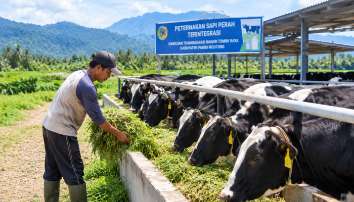 Parigi Moutong Masuk Enam Besar Proyek IPRO Nasional
